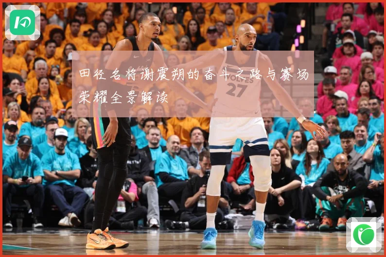 田径名将谢震朔的奋斗之路与赛场荣耀全景解读