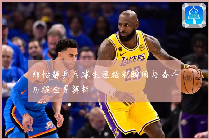 郑怡静乒乓球生涯精彩瞬间与奋斗历程全景解析