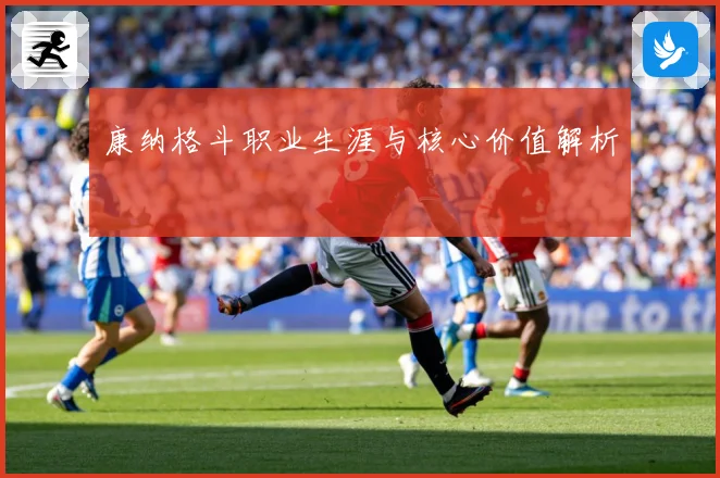 康纳格斗职业生涯与核心价值解析