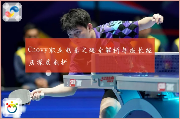 Chovy职业电竞之路全解析与成长经历深度剖析