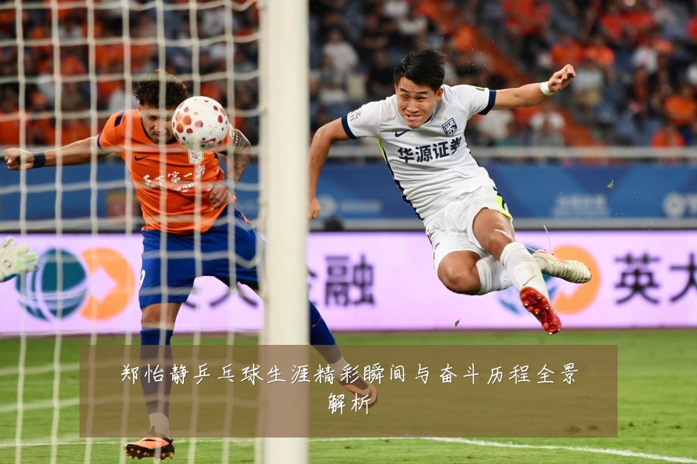 郑怡静乒乓球生涯精彩瞬间与奋斗历程全景解析